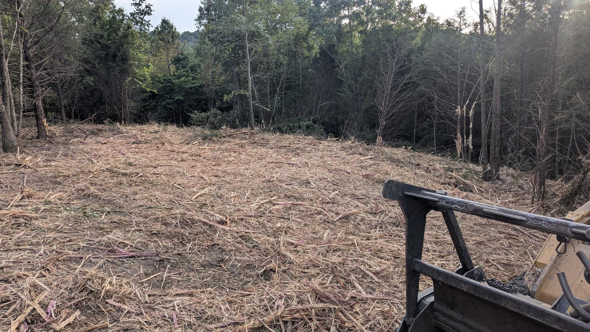 Gallery photos for 2 Acres Cleared and Reclaimed with Forestry Mulching: Image #6