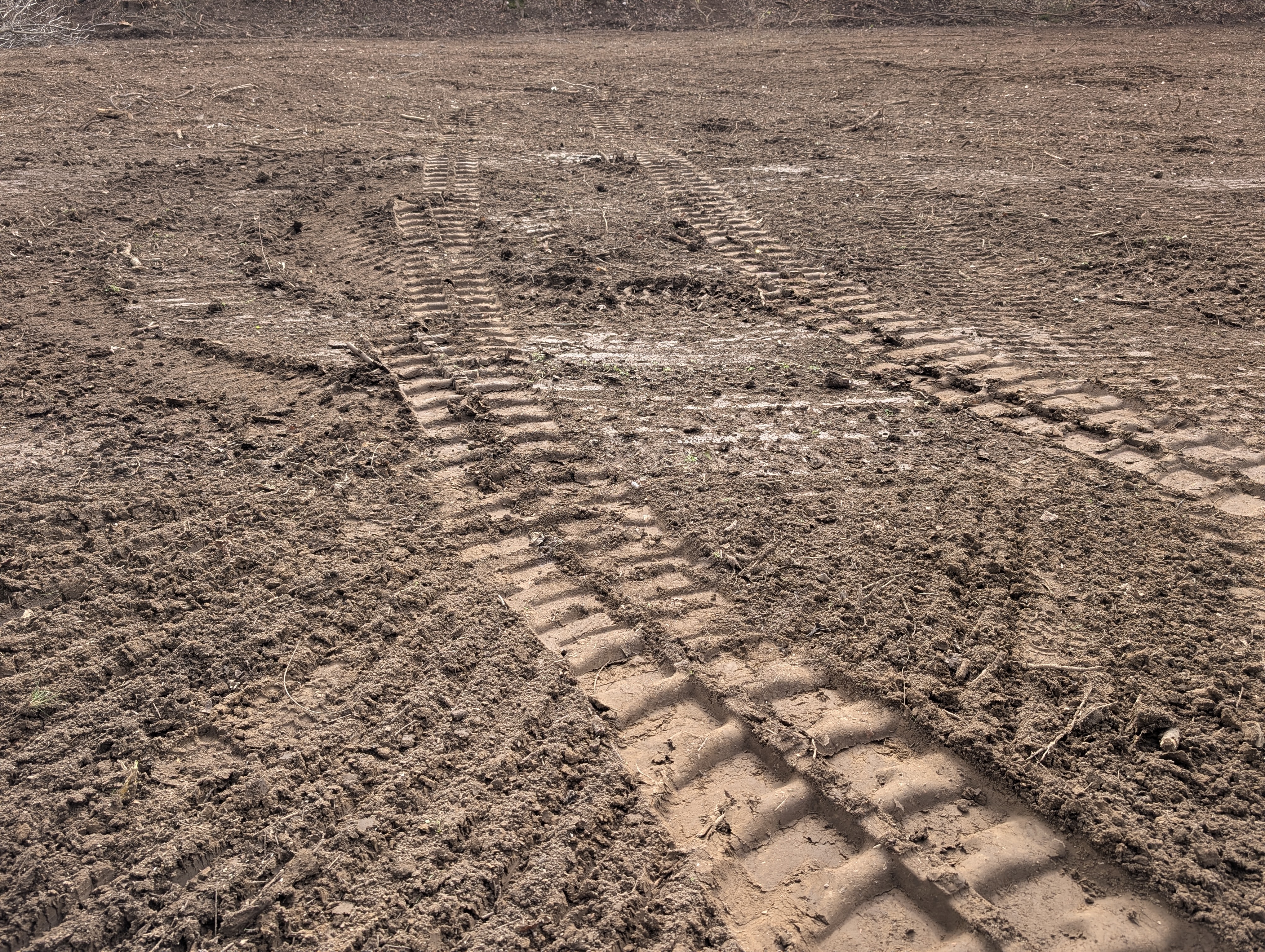 Recent land clearing project