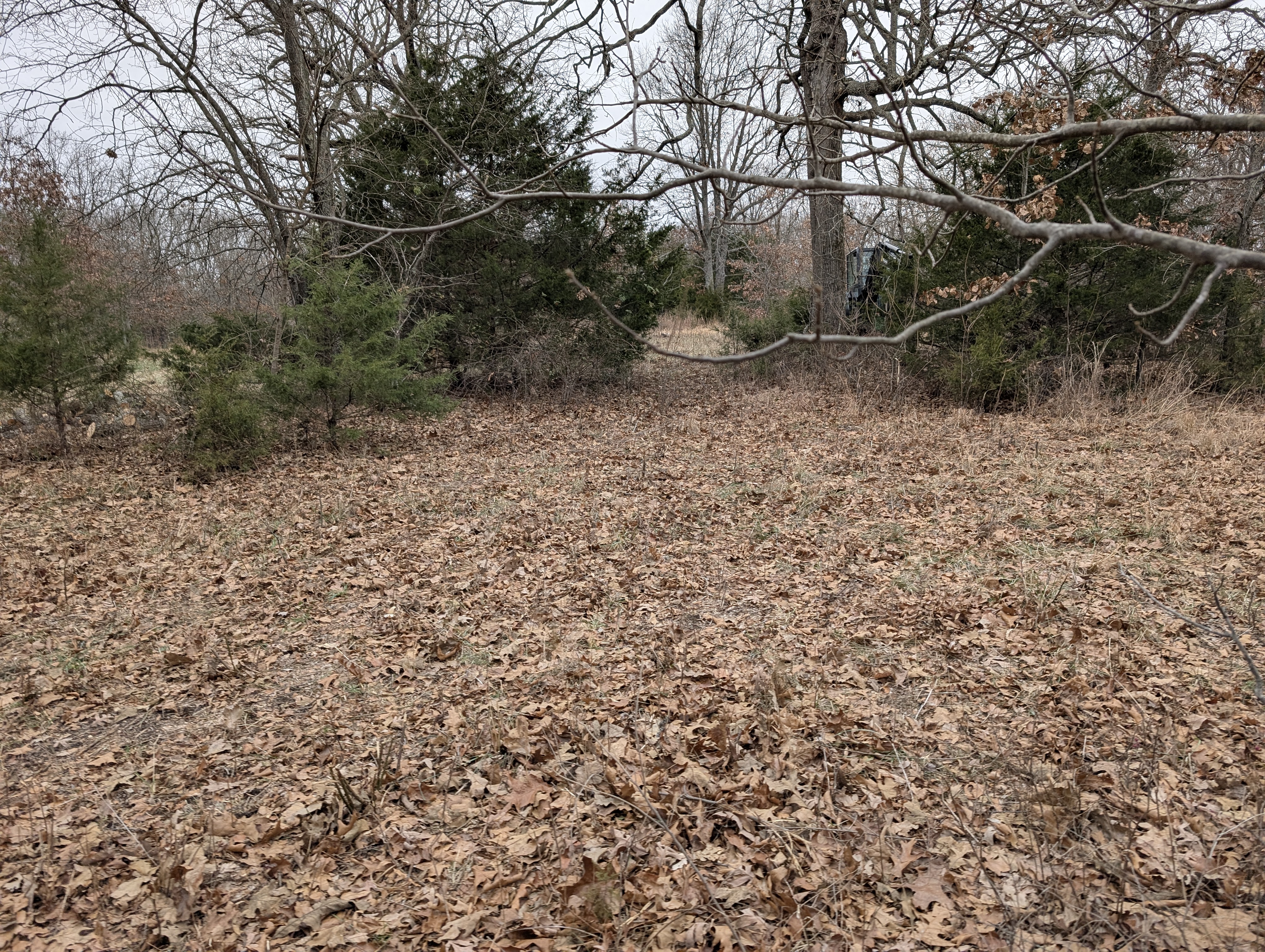 Before project photo